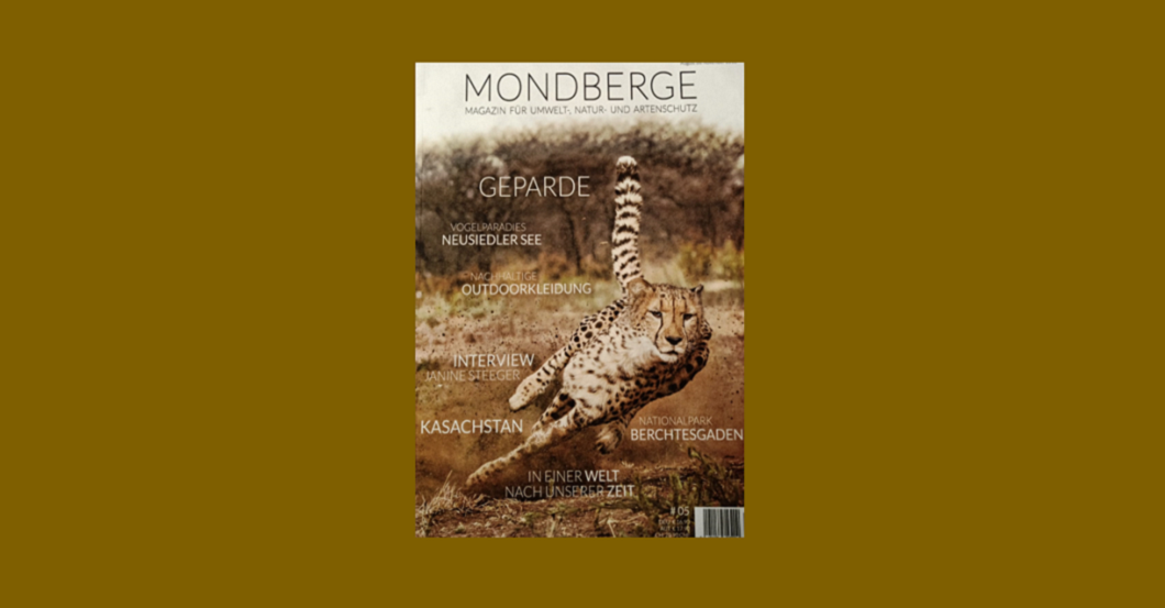  AGA Olivenbaum Kochbuch 