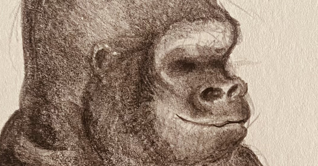  Brave Kids for Christmas 