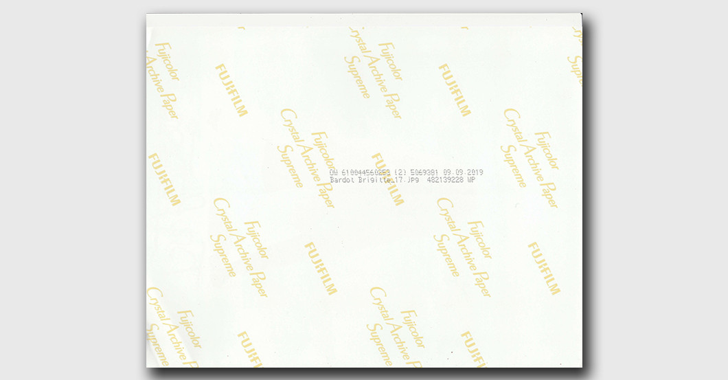  Brigitte Bardot Porträt 