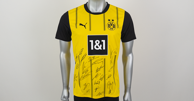  BVB Trikot 24-25 
