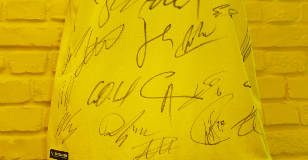  BVB Trikot teamsigniert 