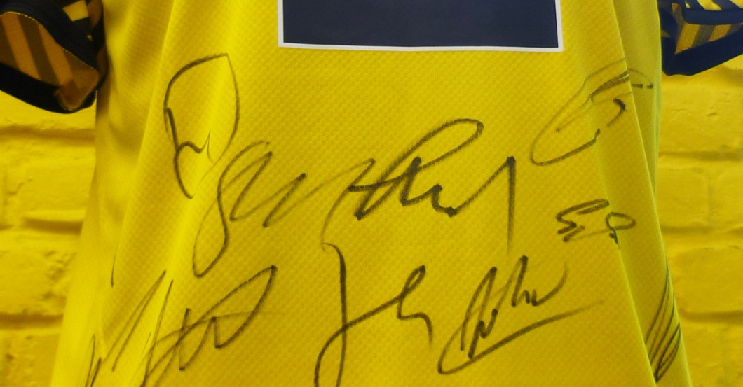  BVB Trikot teamsigniert 