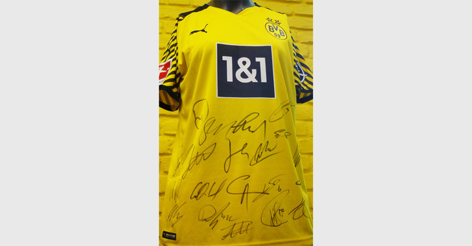  BVB Trikot teamsigniert 