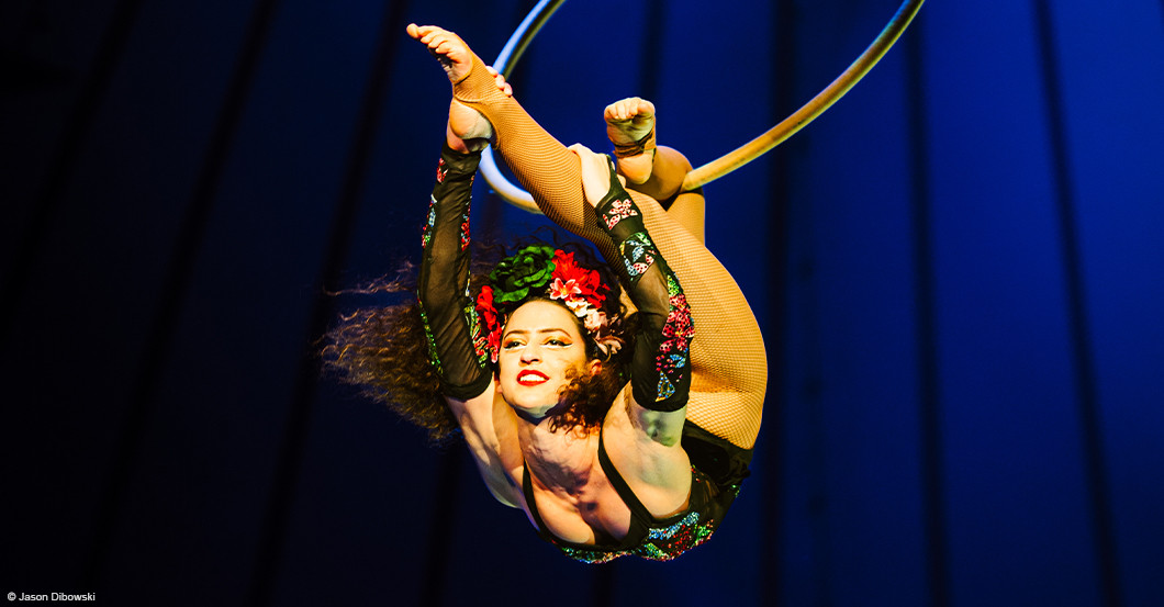 DV Roncalli Logenplätze   DV Roncalli Logenplätze