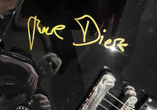  Epiphone Stephan Diez 