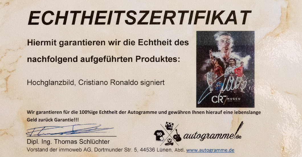 FH Ronaldo Porträt   FH Ronaldo Porträt