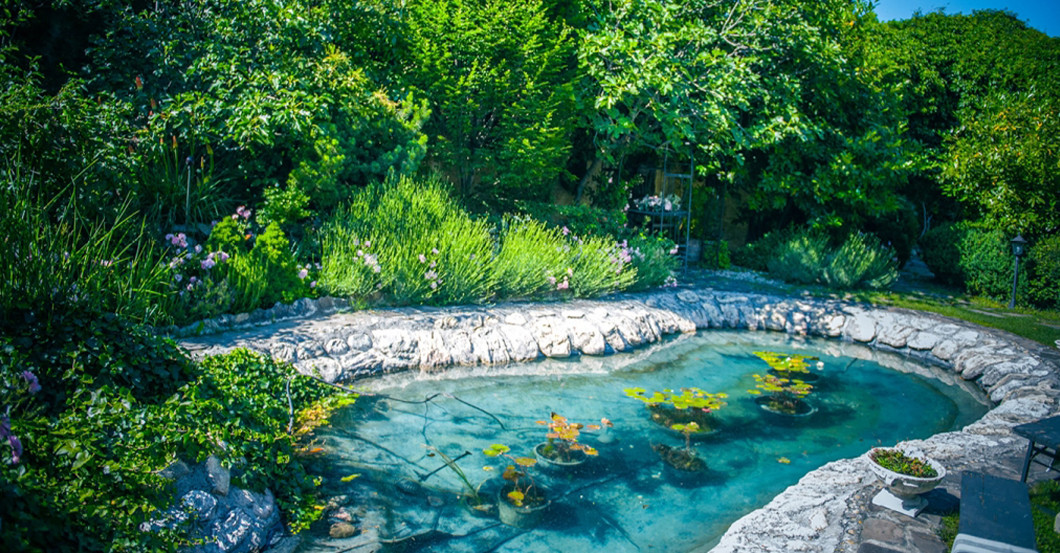 GF Bürgerhaus Art Hotel   GF Bürgerhaus Art Hotel