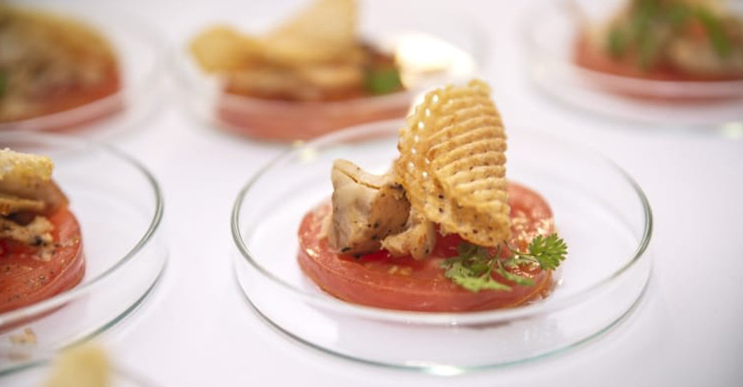 GF Hotel Schachner Wachau   GF Hotel Schachner Wachau