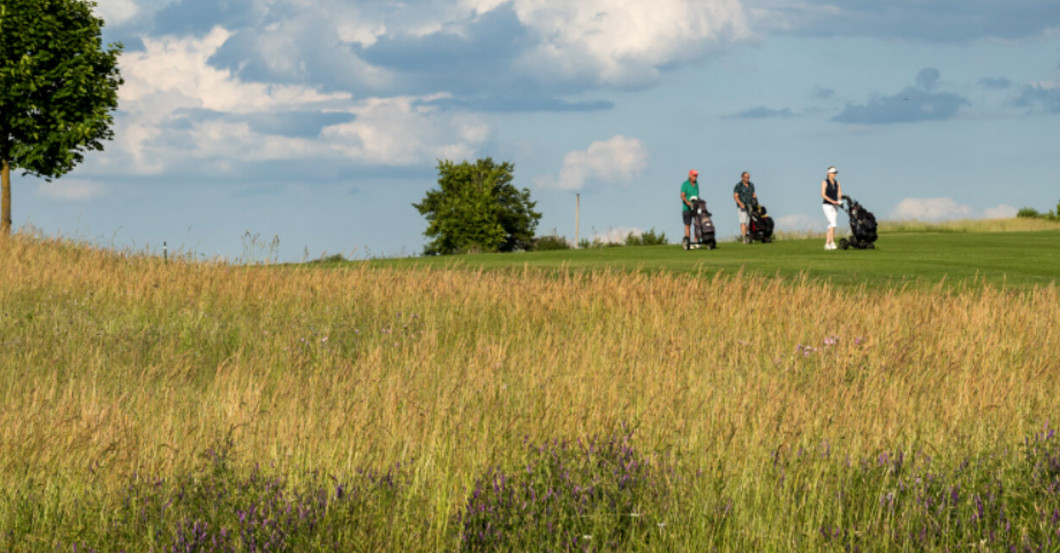 Golf Herzogenaurach   Golf Herzogenaurach