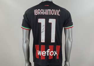  Ibrahimovics Trikot 