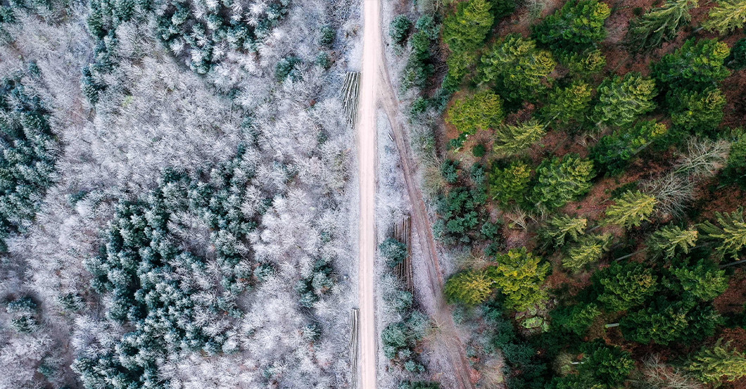 Nicolas Kamp Werk   Nicolas Kamp Werk