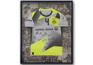  Plan Grijseels Trikot 