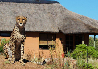 Two nights Namibia Two nights Namibia