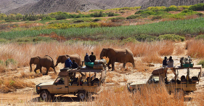  2 Tage Elefanten-Tracking 