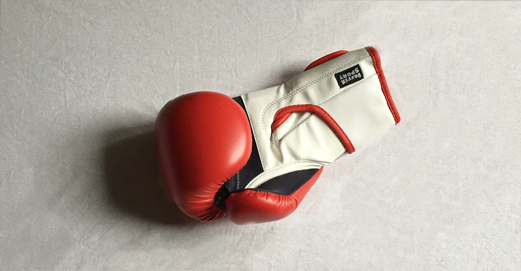  Abrahams Boxhandschuhe 