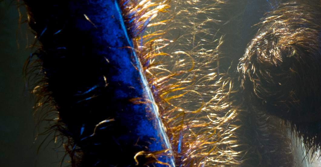 AfK JanLeonardo Cubri 1   AfK JanLeonardo Cubri 1