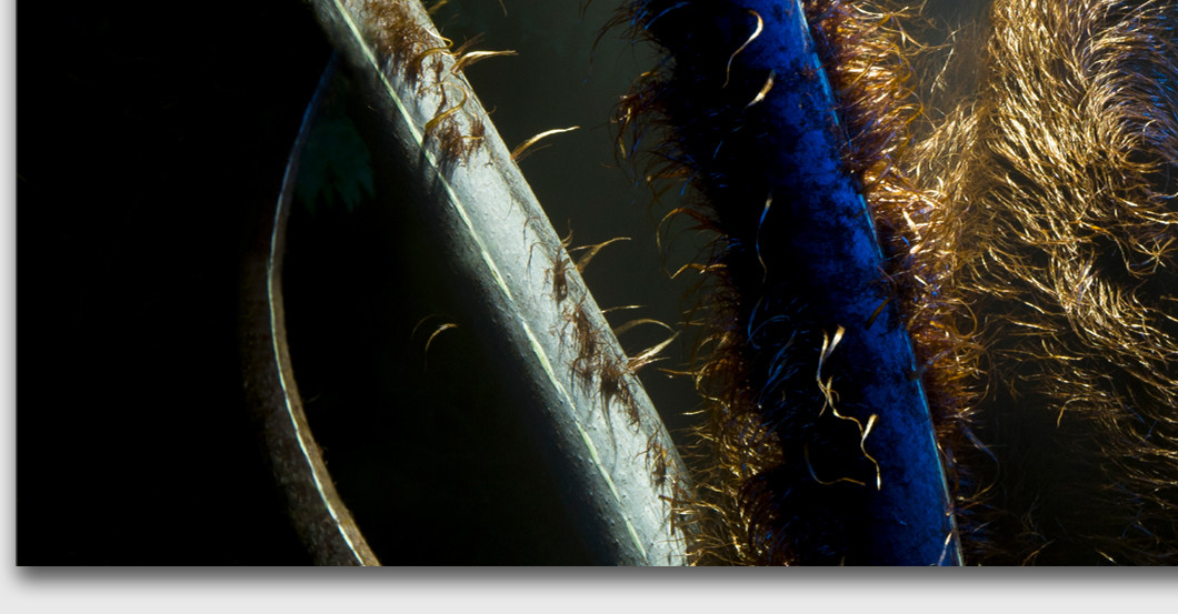 AfK JanLeonardo Cubri 1   AfK JanLeonardo Cubri 1