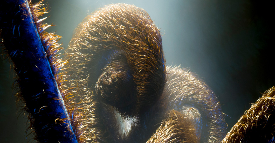 AFK JanLeonardo Cubri   AFK JanLeonardo Cubri