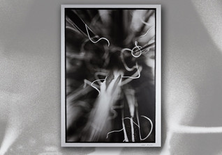  AFK Sofie Lunardon Werk 