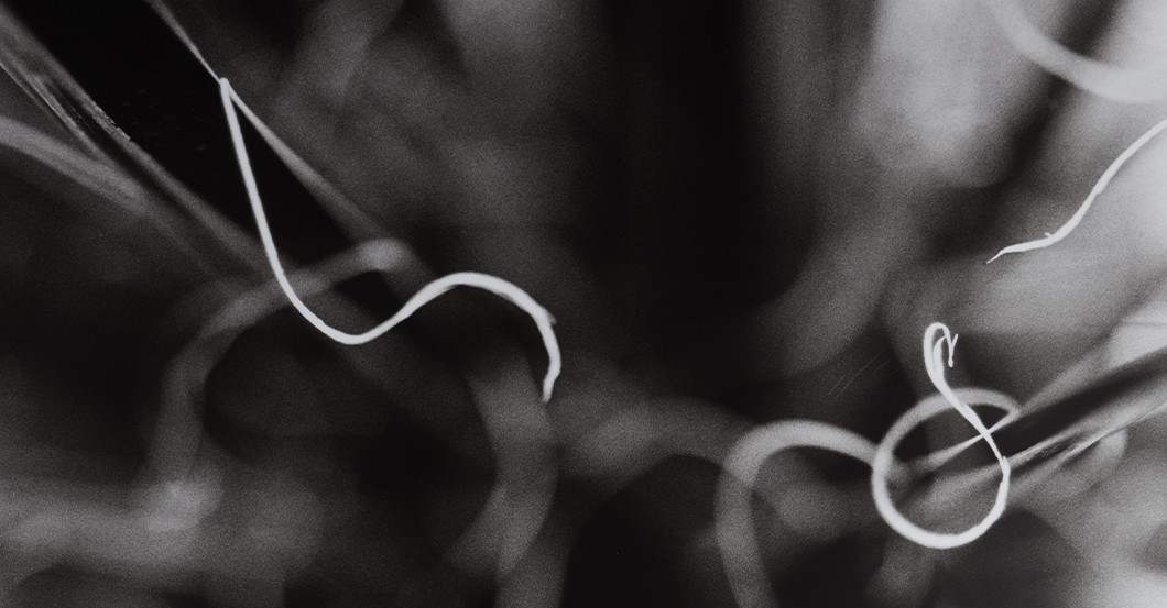  AFK Sofie Lunardon Werk 