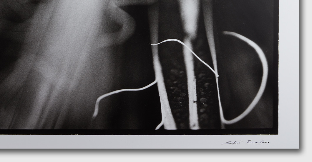  AFK Sofie Lunardon Werk 