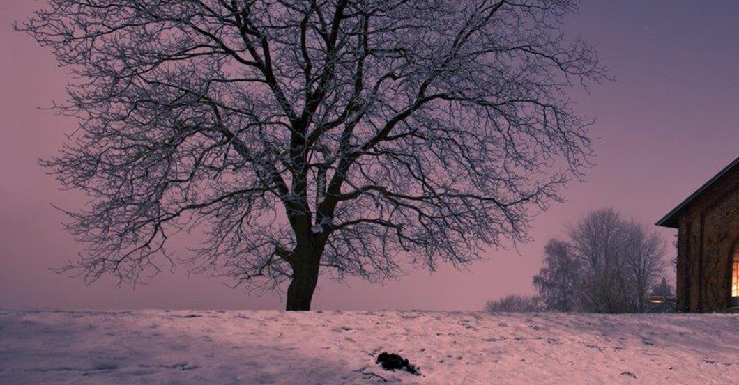 AFK Werk JanLeonardo    AFK Werk JanLeonardo