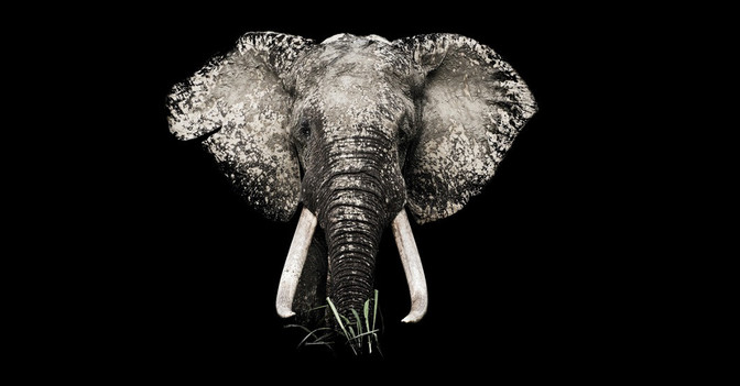  AGA Acrylglas Elefant 