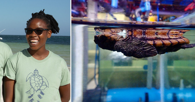  AGA Babyschildkröte Shirt 