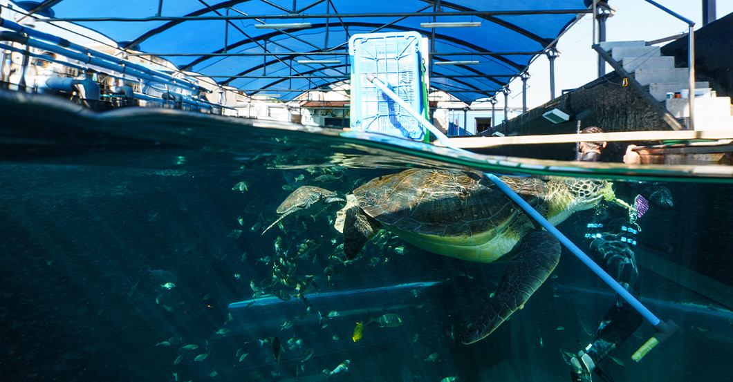  AGA Bild Bob und Pate 