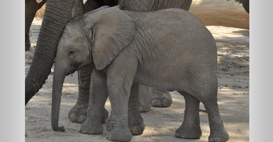 AGA Brunnen Paket    AGA Brunnen Paket