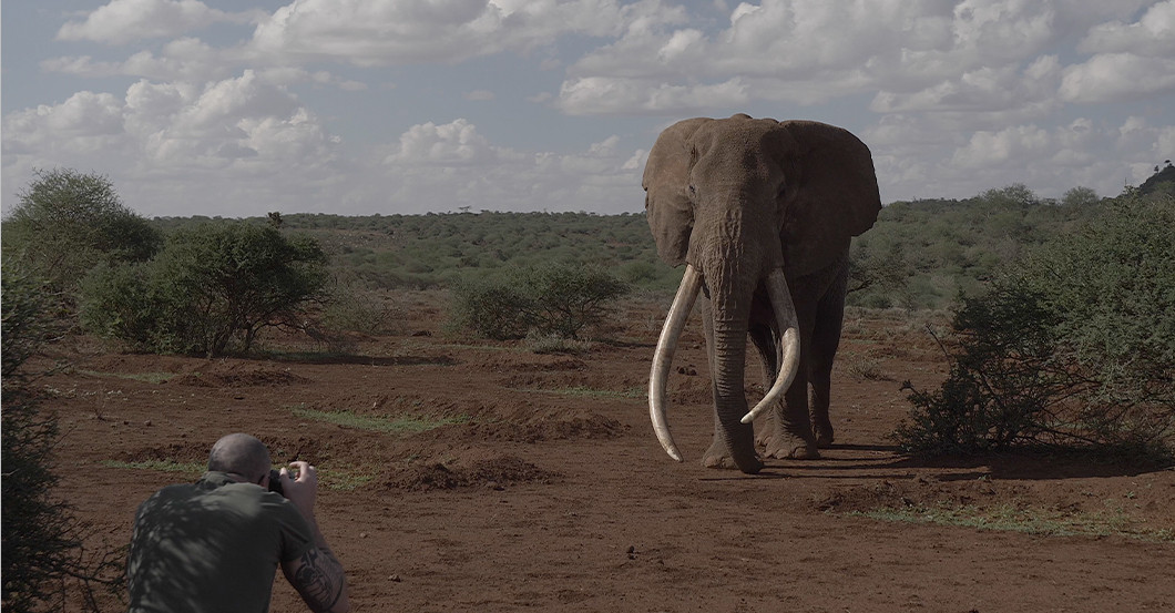 AGA Elefant Bildband   AGA Elefant Bildband