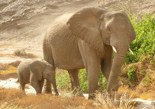  AGA Elefant Skulptur 