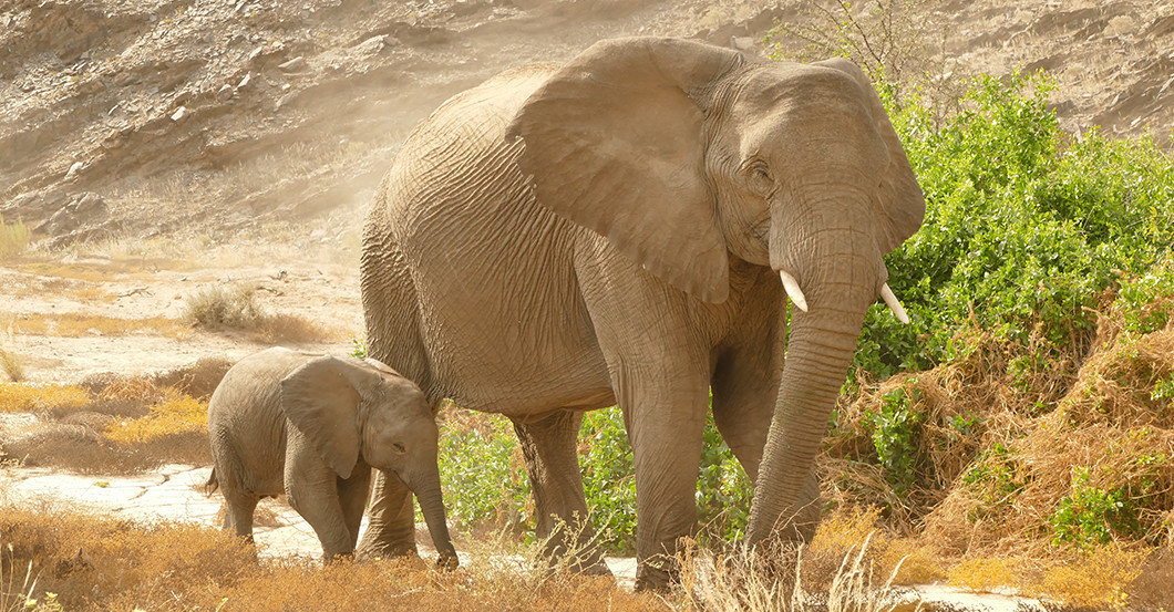 AGA Elefant Skulptur   AGA Elefant Skulptur