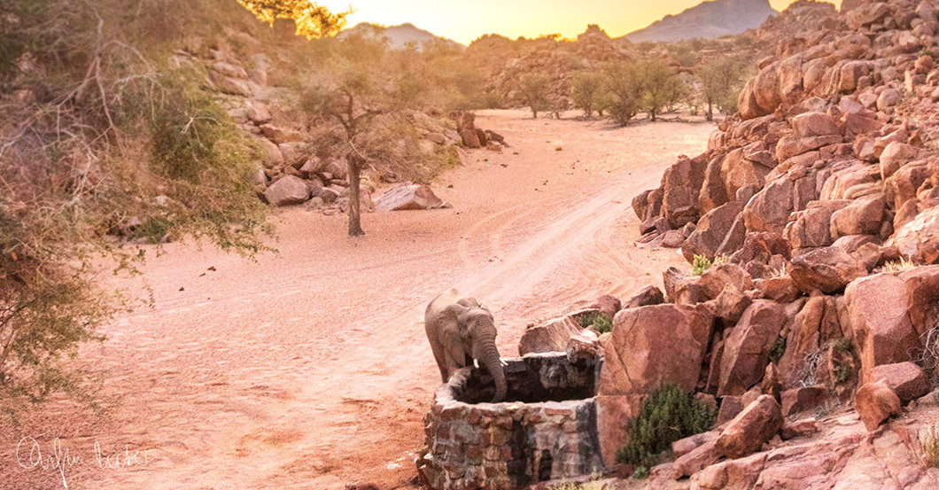  AGA Elefanten-Brunnen 