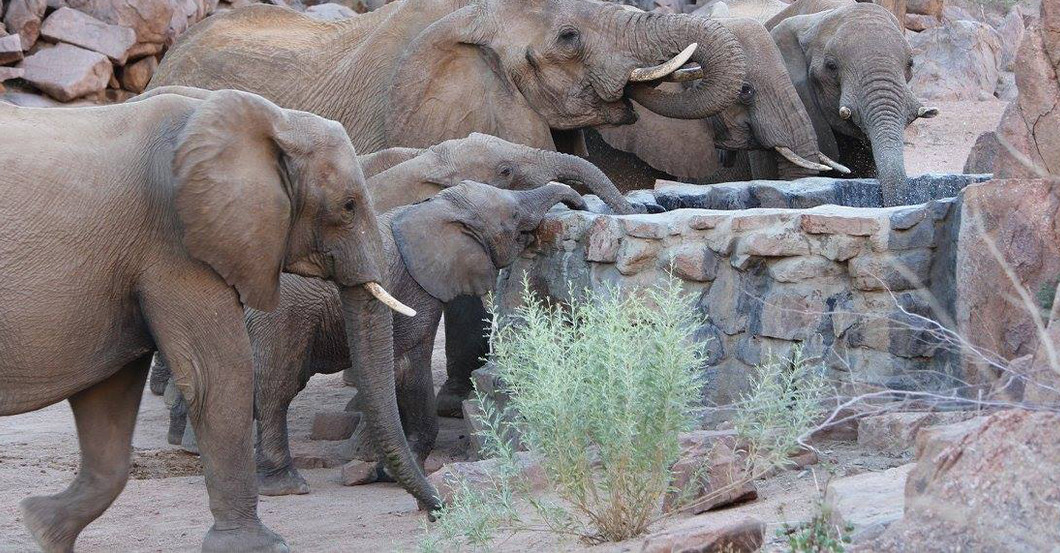  AGA Elefantenbrunnen 