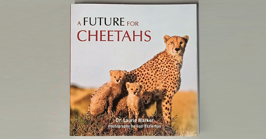 AGA Gemälde Gepard   AGA Gemälde Gepard