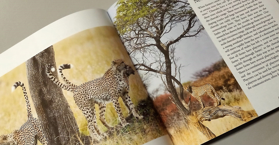 AGA Gepard Gemälde    AGA Gepard Gemälde