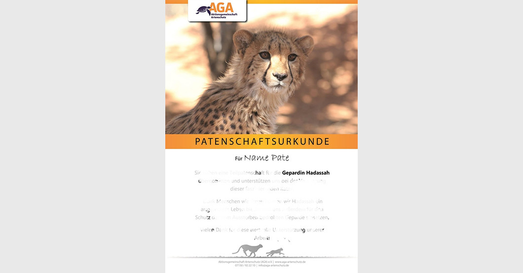 AGA Gepard und Figur   AGA Gepard und Figur