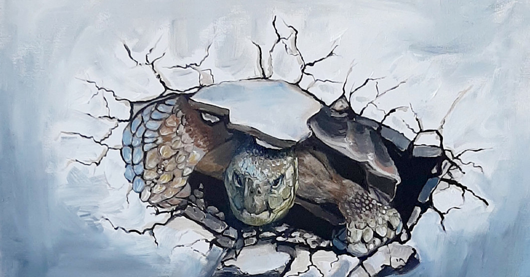 AGA Hennings Schildkröte   AGA Hennings Schildkröte