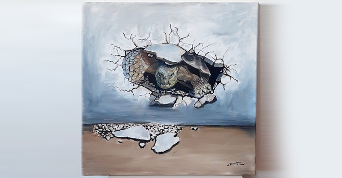  AGA Hennings Schildkröte 