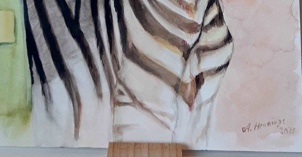 AGA Hennings Zebra   AGA Hennings Zebra