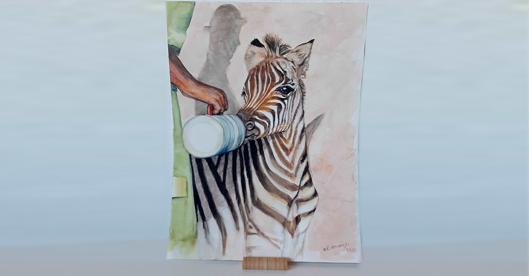 AGA Hennings Zebra   AGA Hennings Zebra