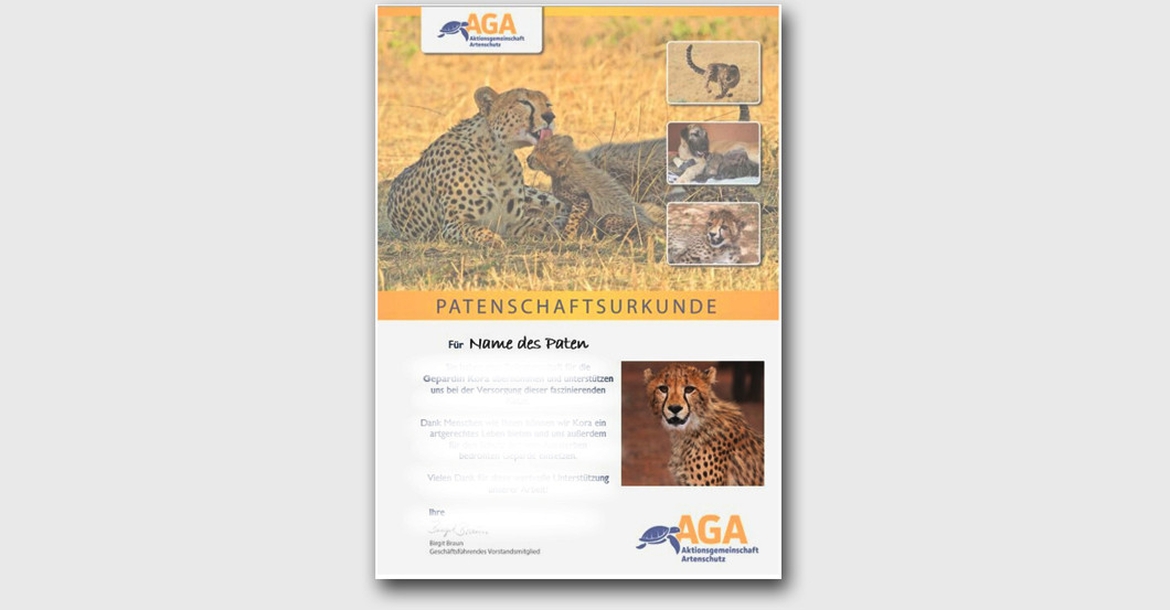 AGA Kalender Gepard   AGA Kalender Gepard