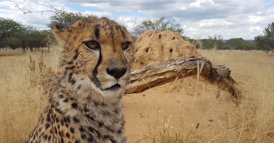  AGA Katja Brandis Paket 3 