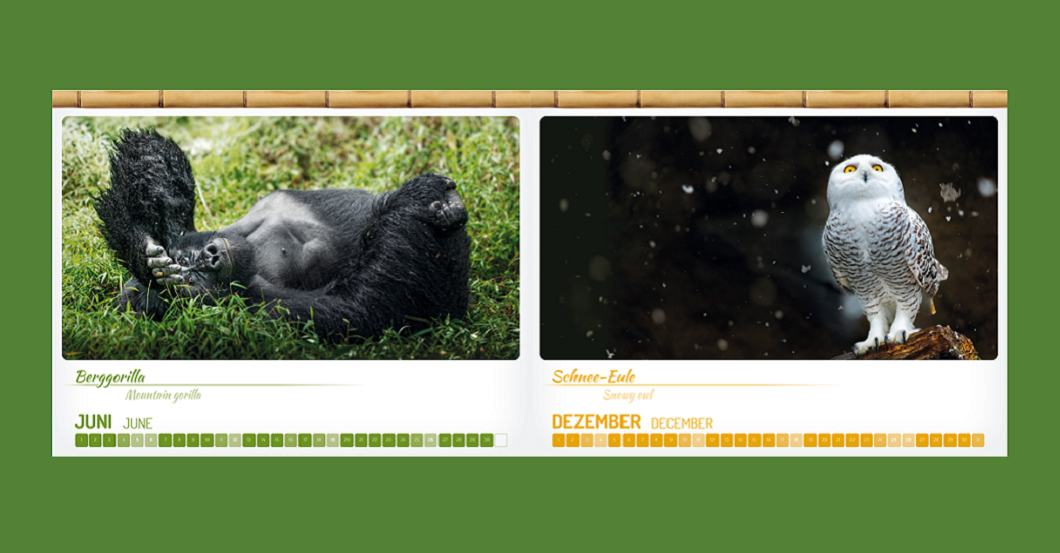  AGA Mondkalender Gepard 