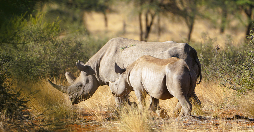 AGA Namibia Urlaub   AGA Namibia Urlaub