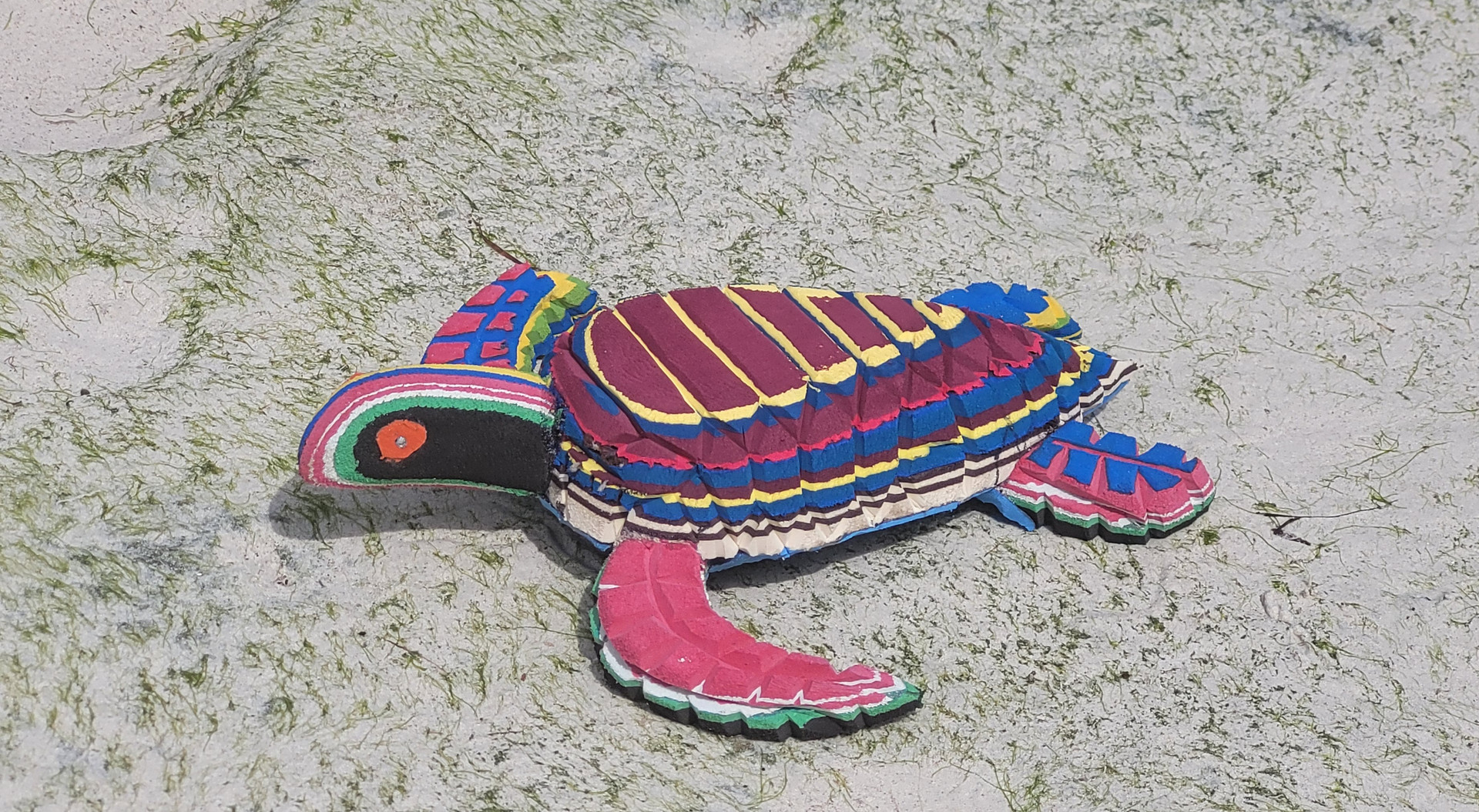  AGA Schildkröten Paket 