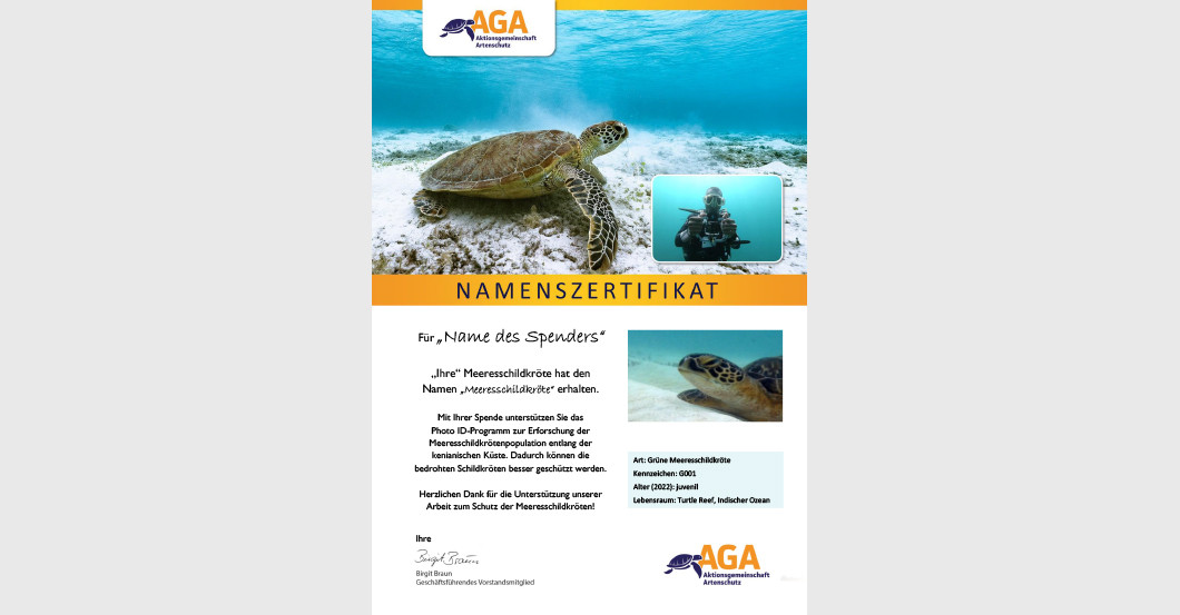 AGA Schildkrötenfigur   AGA Schildkrötenfigur