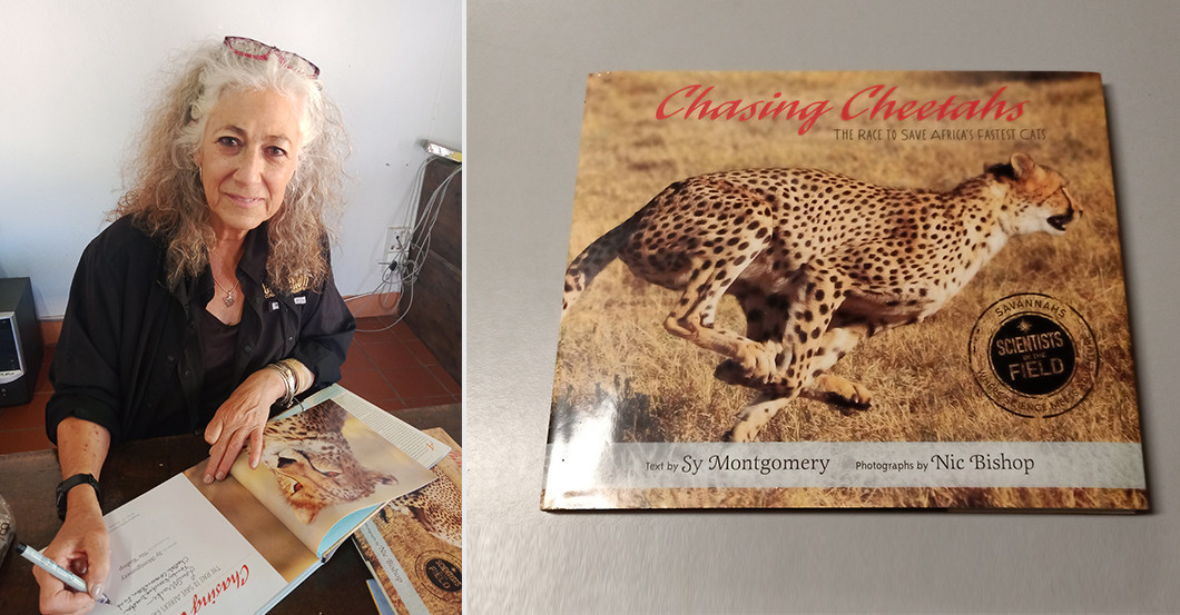  AGA Sundowner Marker 