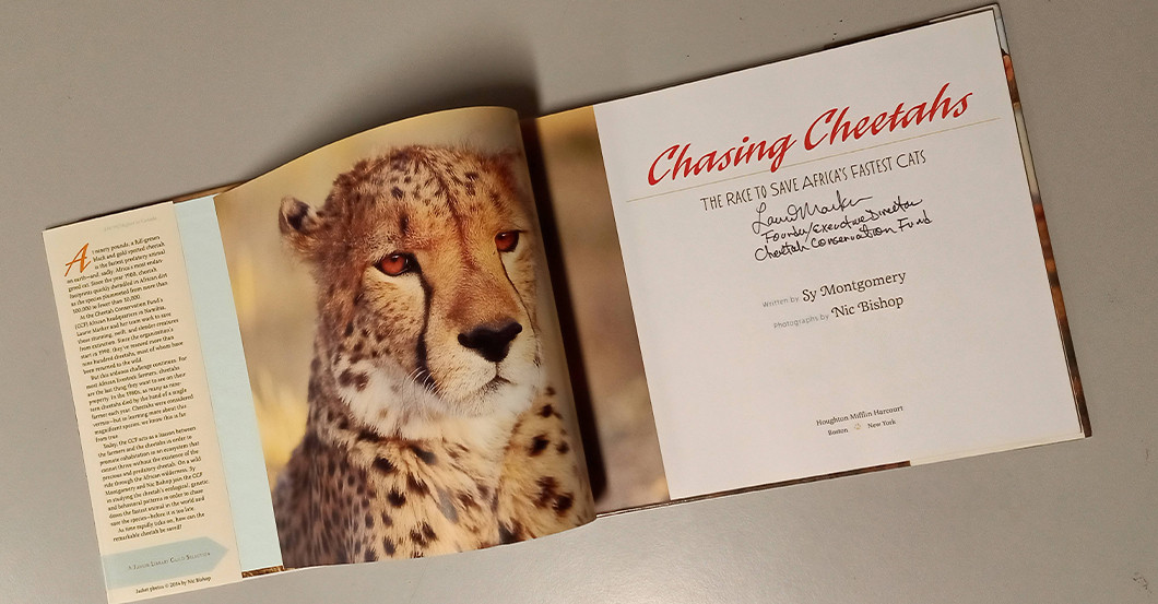  AGA Sundowner Marker 